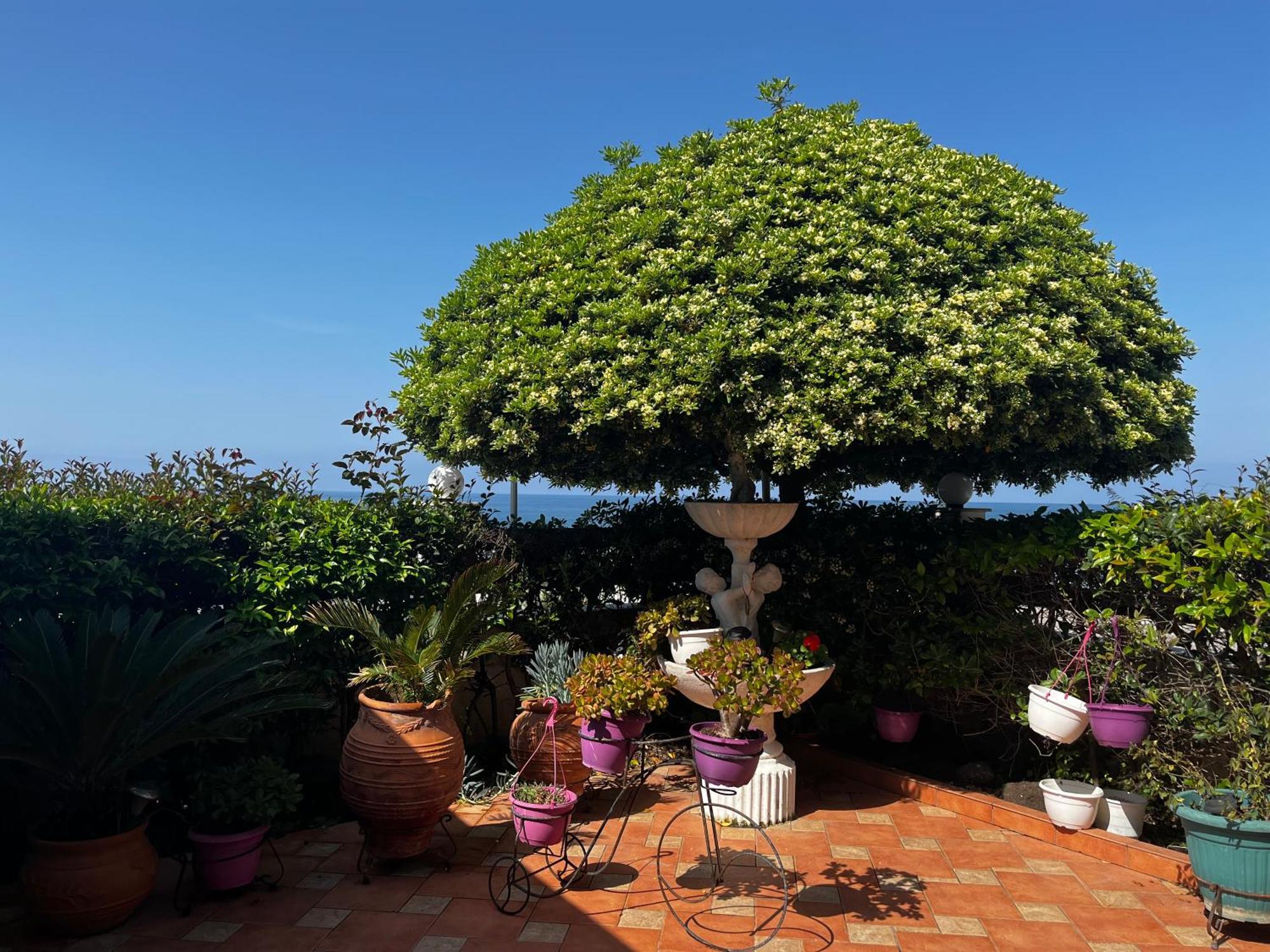 Family Sea & Garden View Apartment بريفيزا المظهر الخارجي الصورة